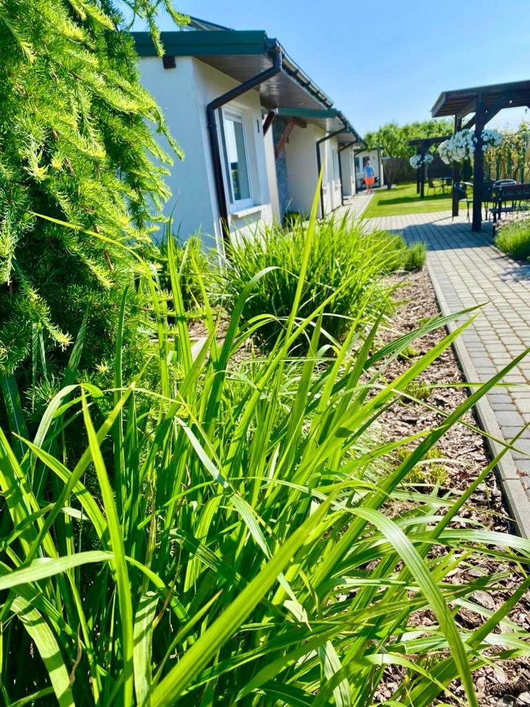 Zielone Zacisze Vila Uniejow Exterior foto